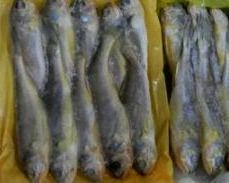 潮悦世家旗舰店 潮悦世家全国店面分布