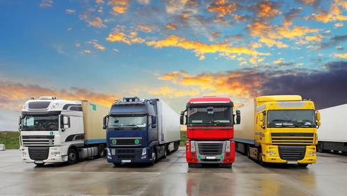 上海到杭州冷冻物流服务 上海沪乐冷链的杭州货运解决方案